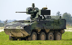 обои Pandur II