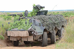 обои TPz 1 Fuchs на учениях