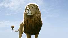 обои The Chronicles of Narnia