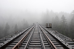 обои Goldstream Provincial Park