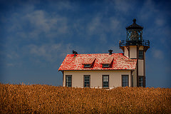 Point Cabrillo