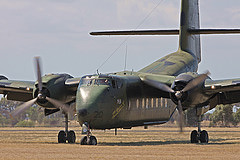 обои Caribou A4-210