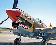 обои зубастый Curtiss P-40 WarHawk