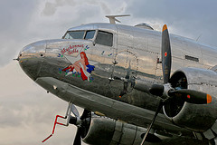 обои nose art