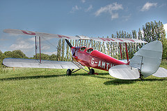 обои красный Tiger Moth