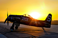 обои Bearcat