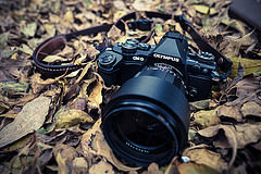 обои Olympus OM-D