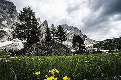 обои Pale di San Martino