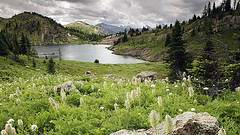 обои Banff National Park