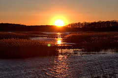 Закат, солнце, вода