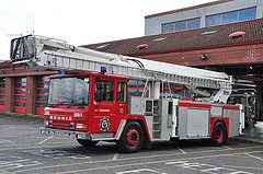 обои Dennis F127 Saxon Simon SS263