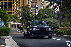 обои черный Dodge Challenger R/T