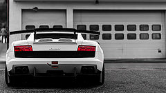 обои белая Lamborghini Gallardo