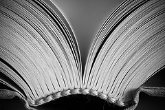 обои книга